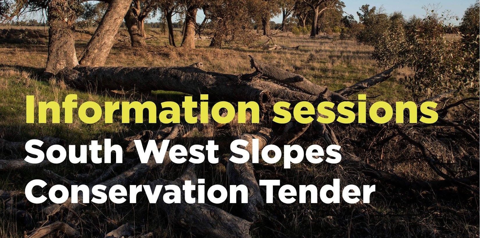 South West Slopes tender info sessions banner