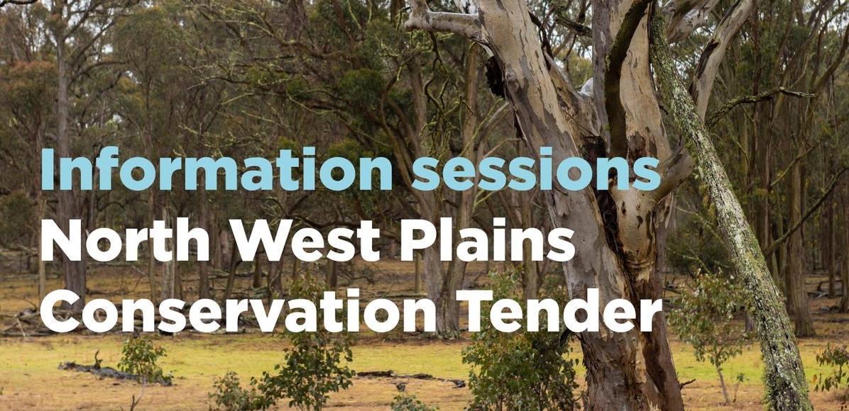 North West Plains tender info sessions banner