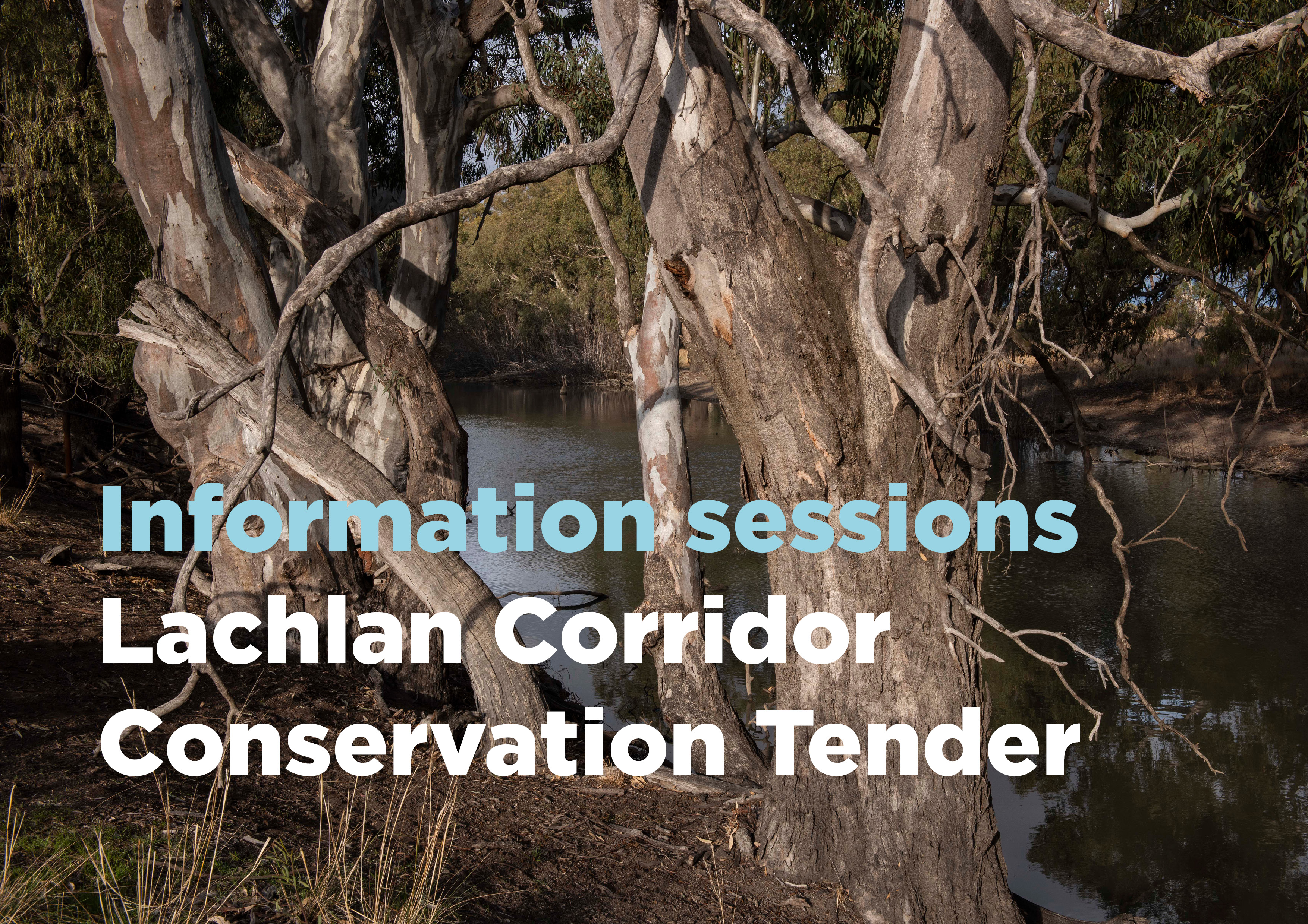 Lachlan Corridor info session image Thumbnail
