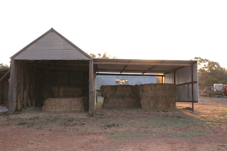 Picola Outside Shed