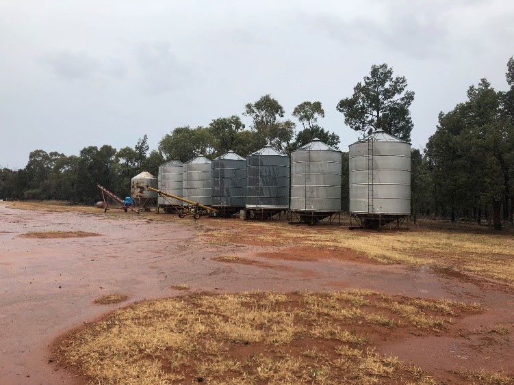 Mount Olive Silos