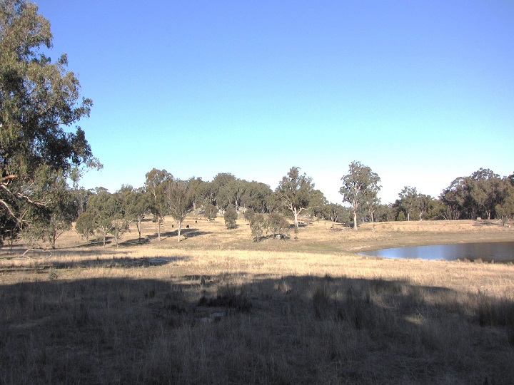 Blackbutt Dam