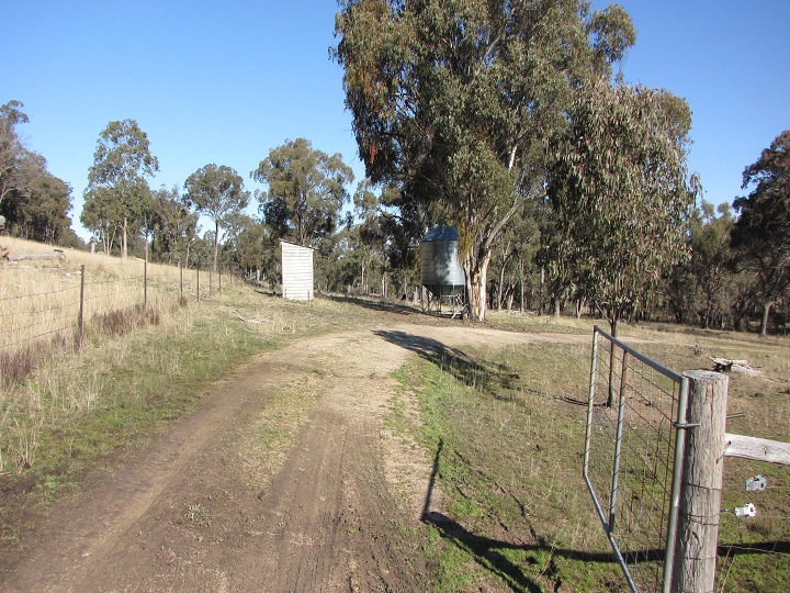 Blackbutt Silo