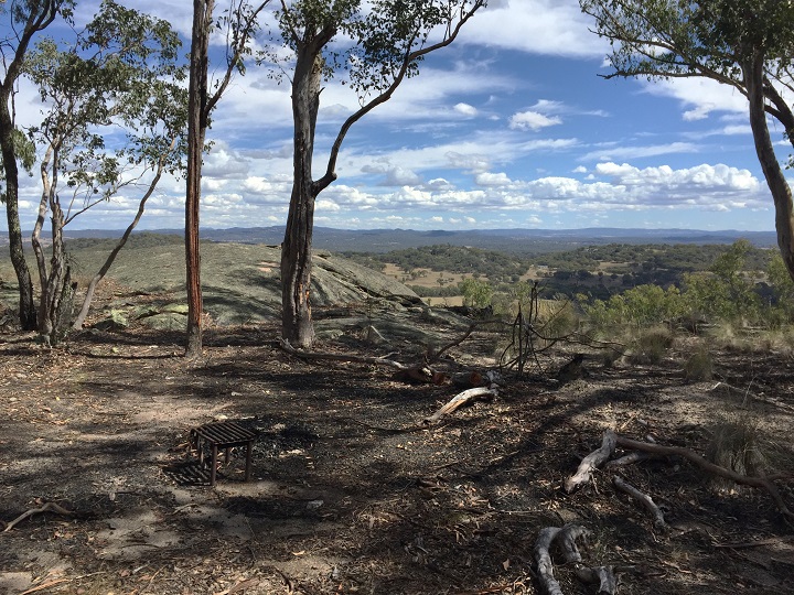 Blackbutt Views