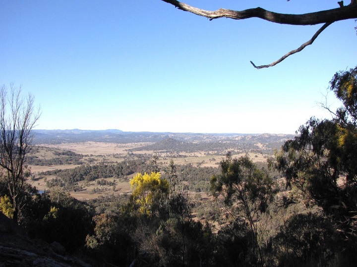 Blackbutt Views