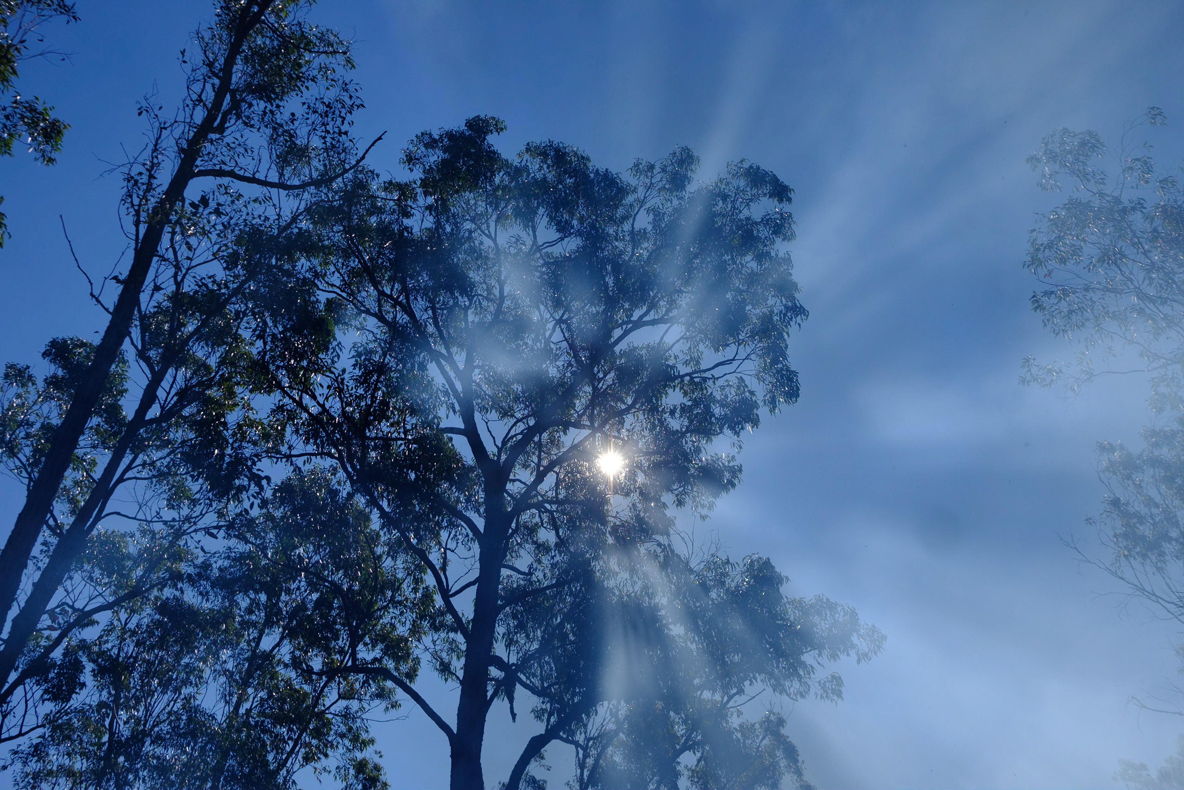 Smoke at Valley Arm