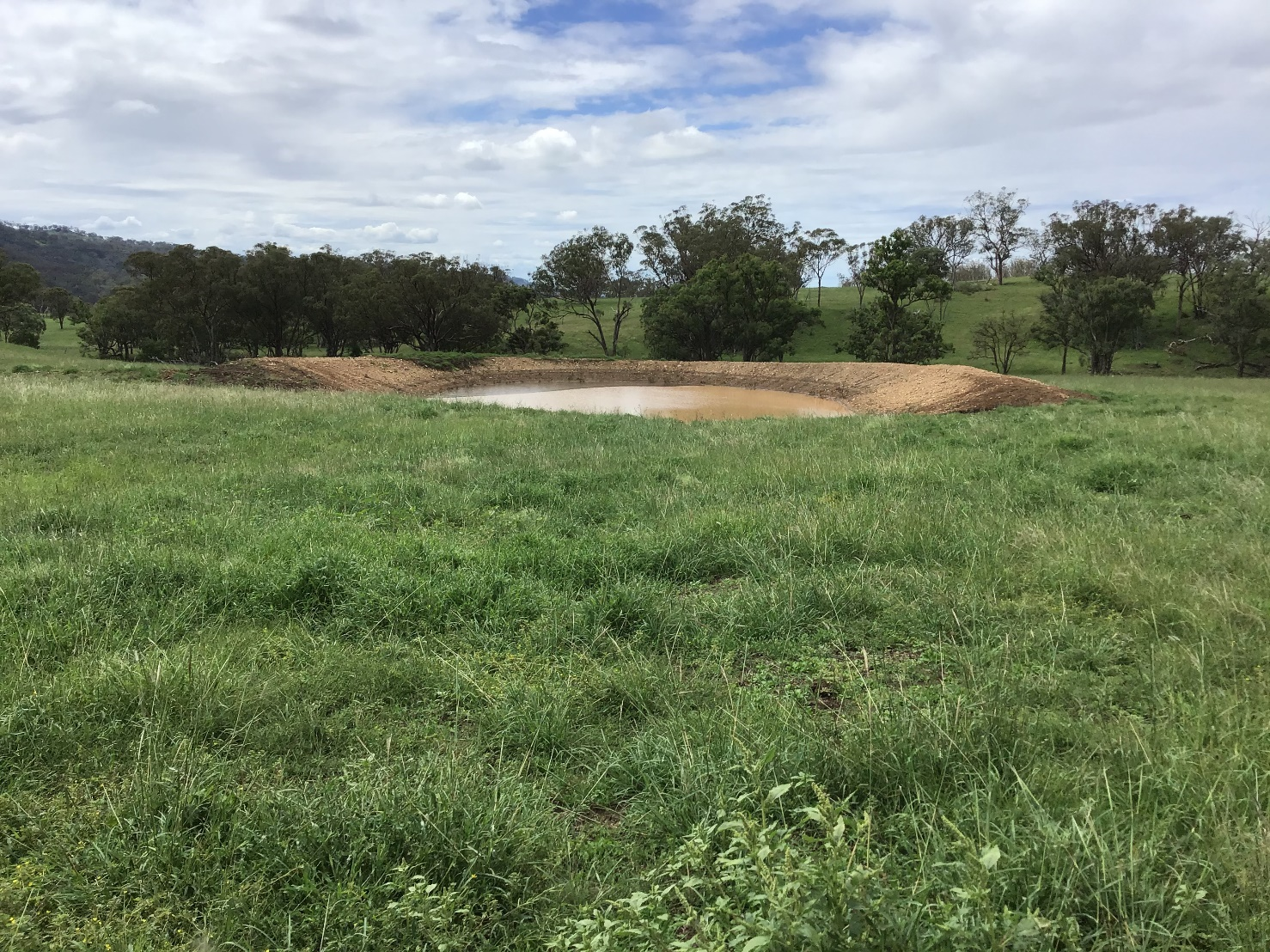 Fernleigh Dam