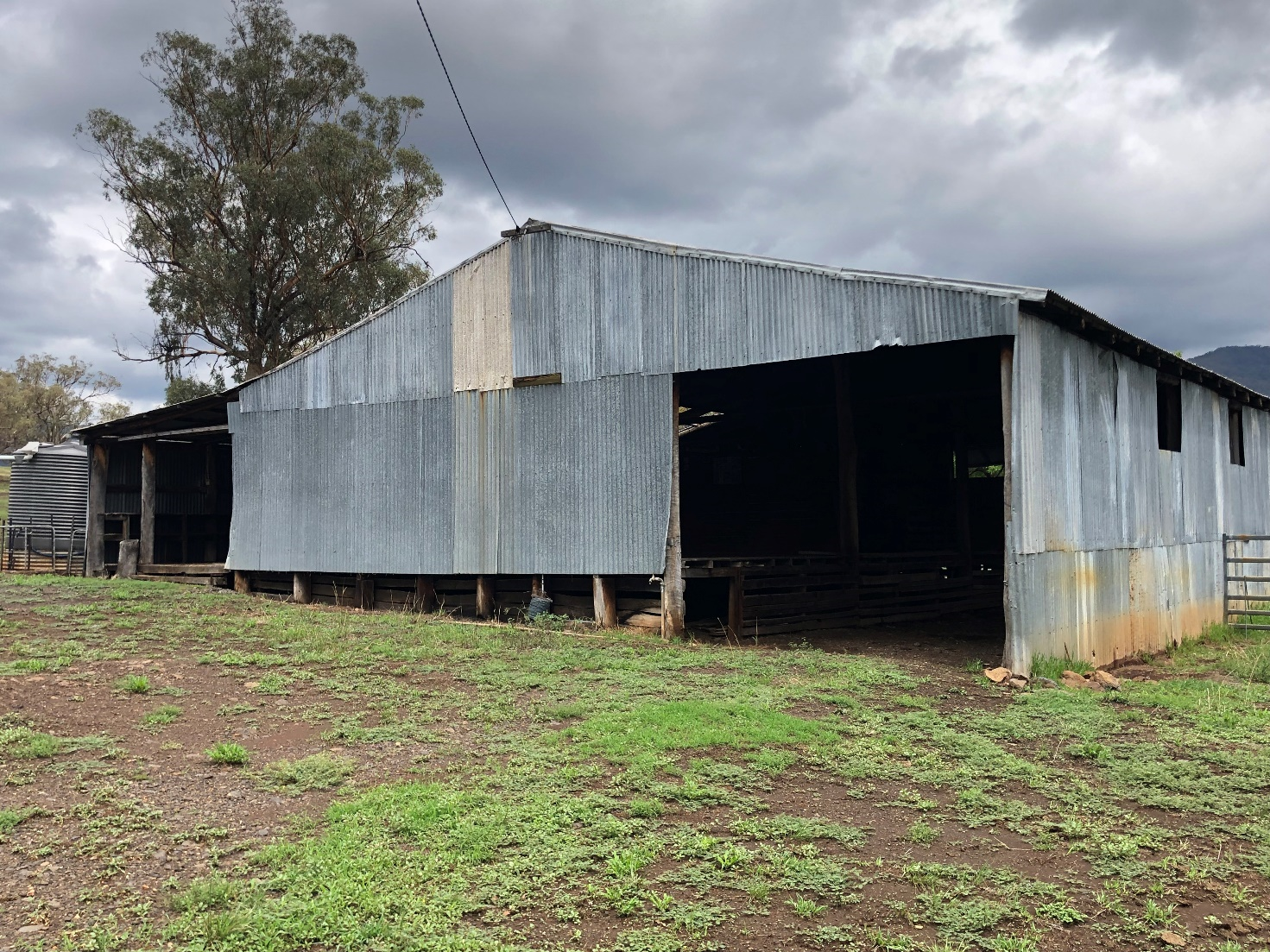 Fernleigh Outside shed