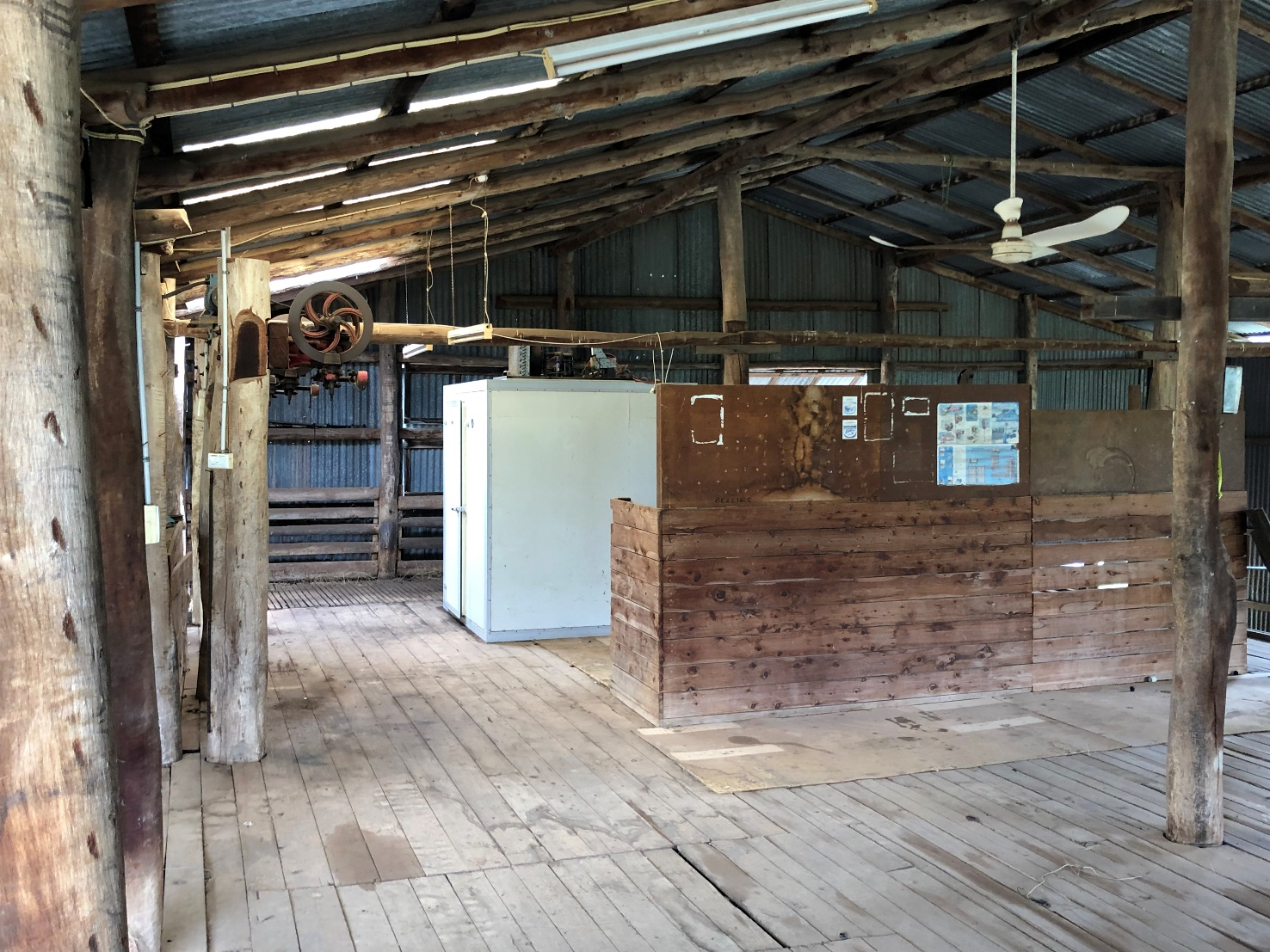 Fernleigh Inside Shed