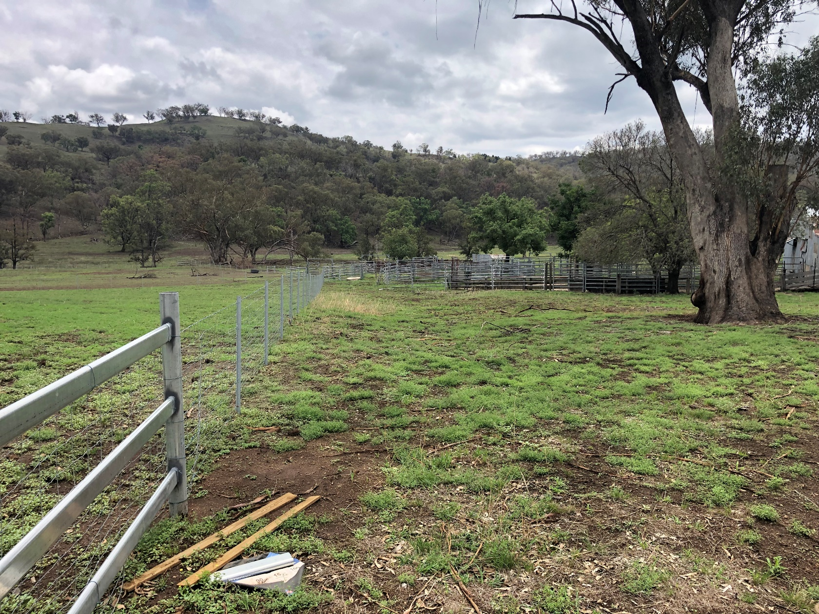 Fernleigh Cattle Yards