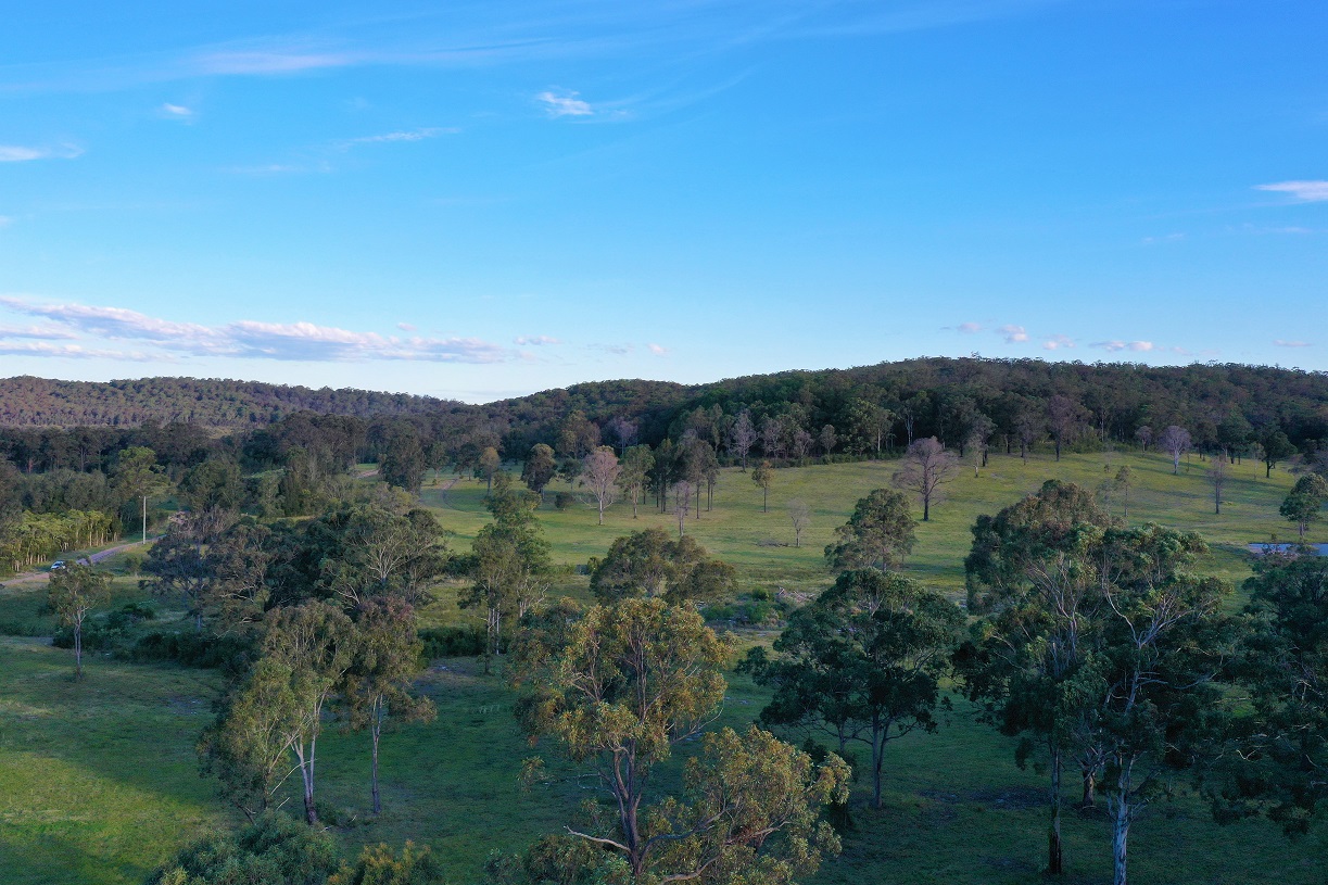 Gooreengi Paddock