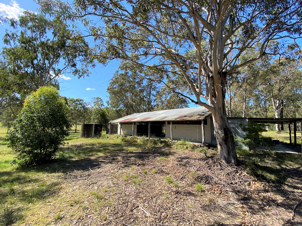 Gooreengi Shed