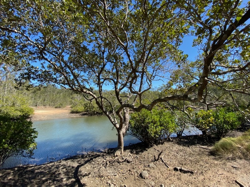 Gooreengi Creek