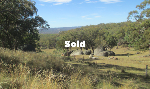 Blackbutt Sold