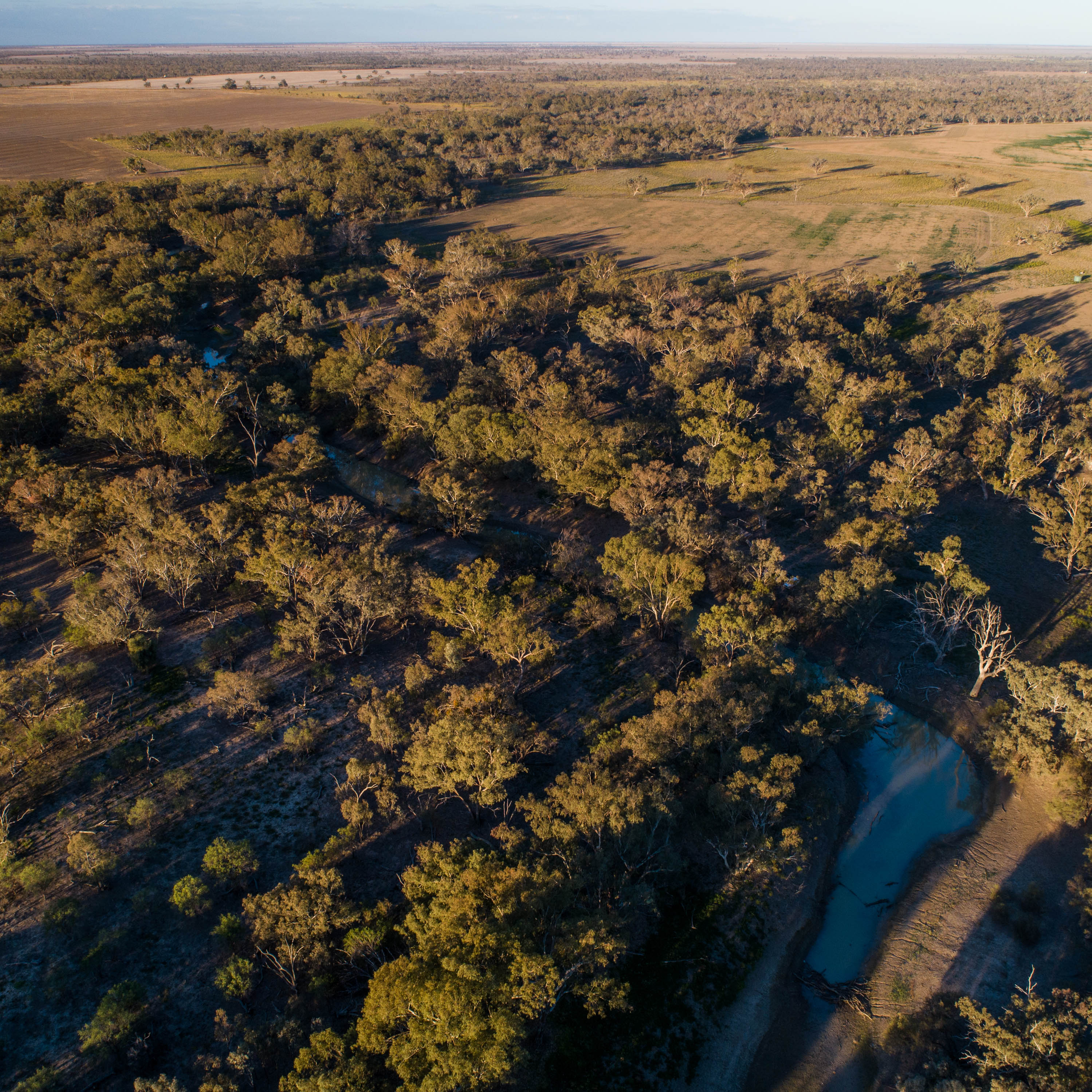 Walgett Brooksdale