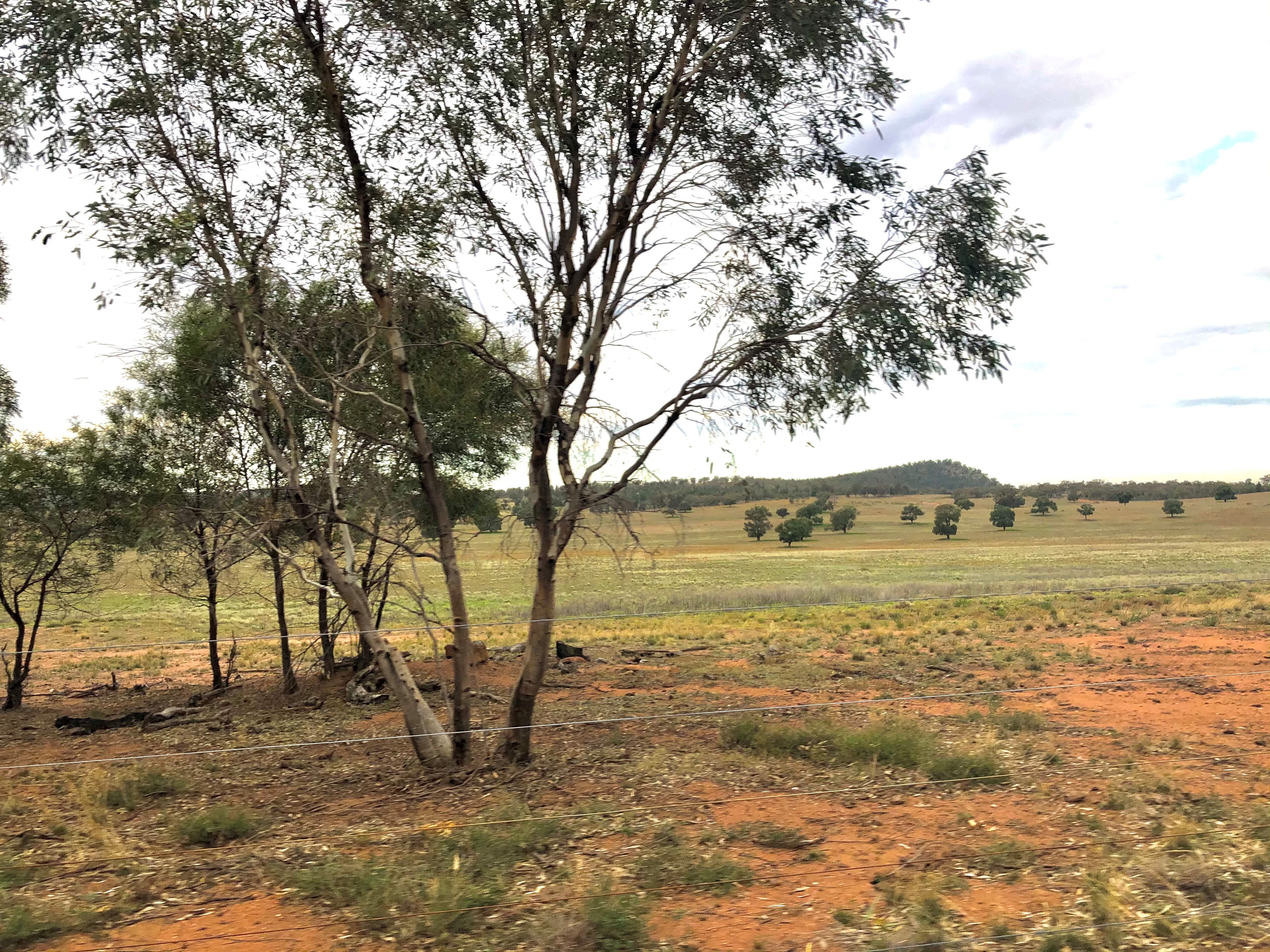 Kithera paddock