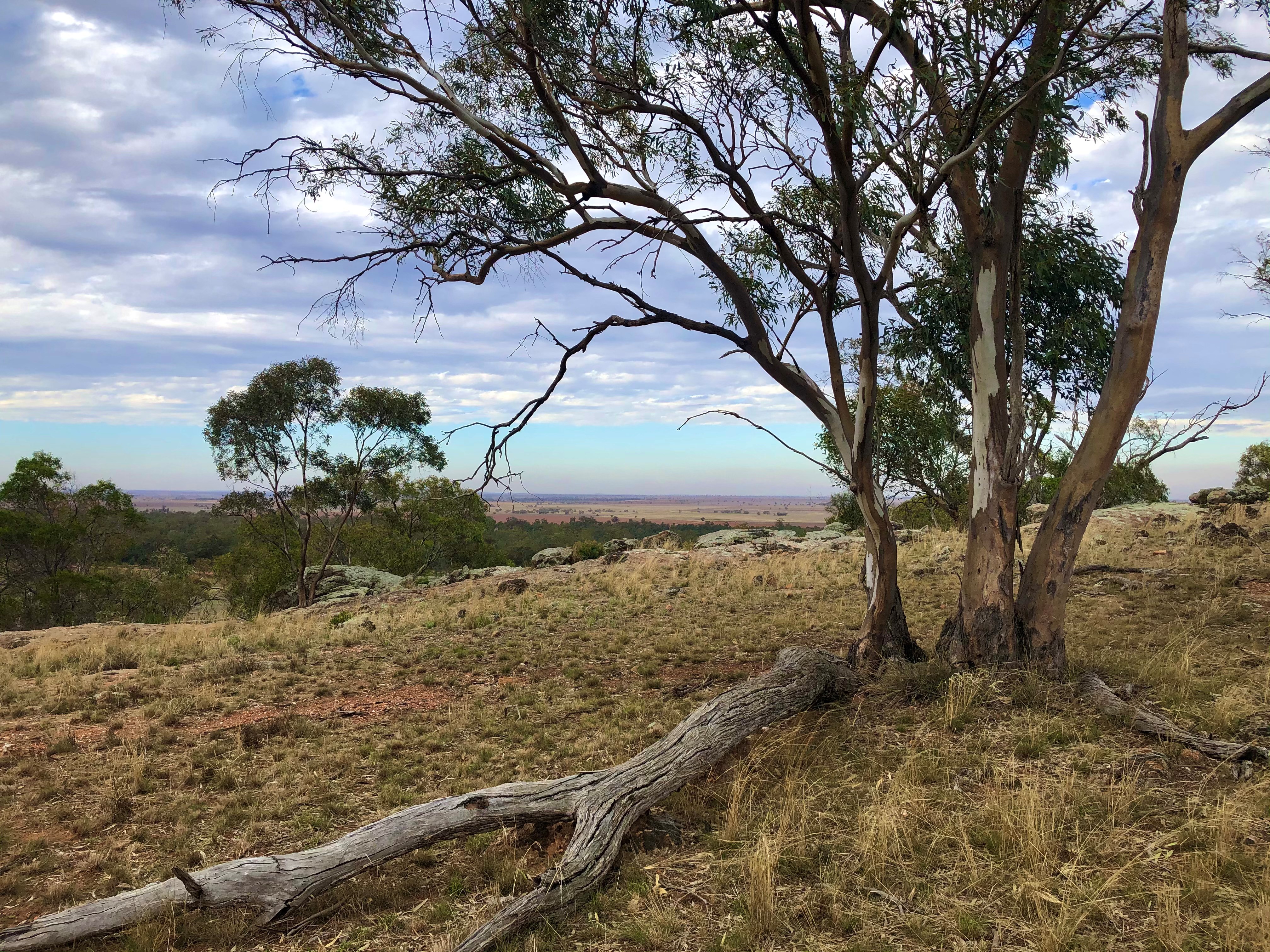 View from Kithera over Karalee