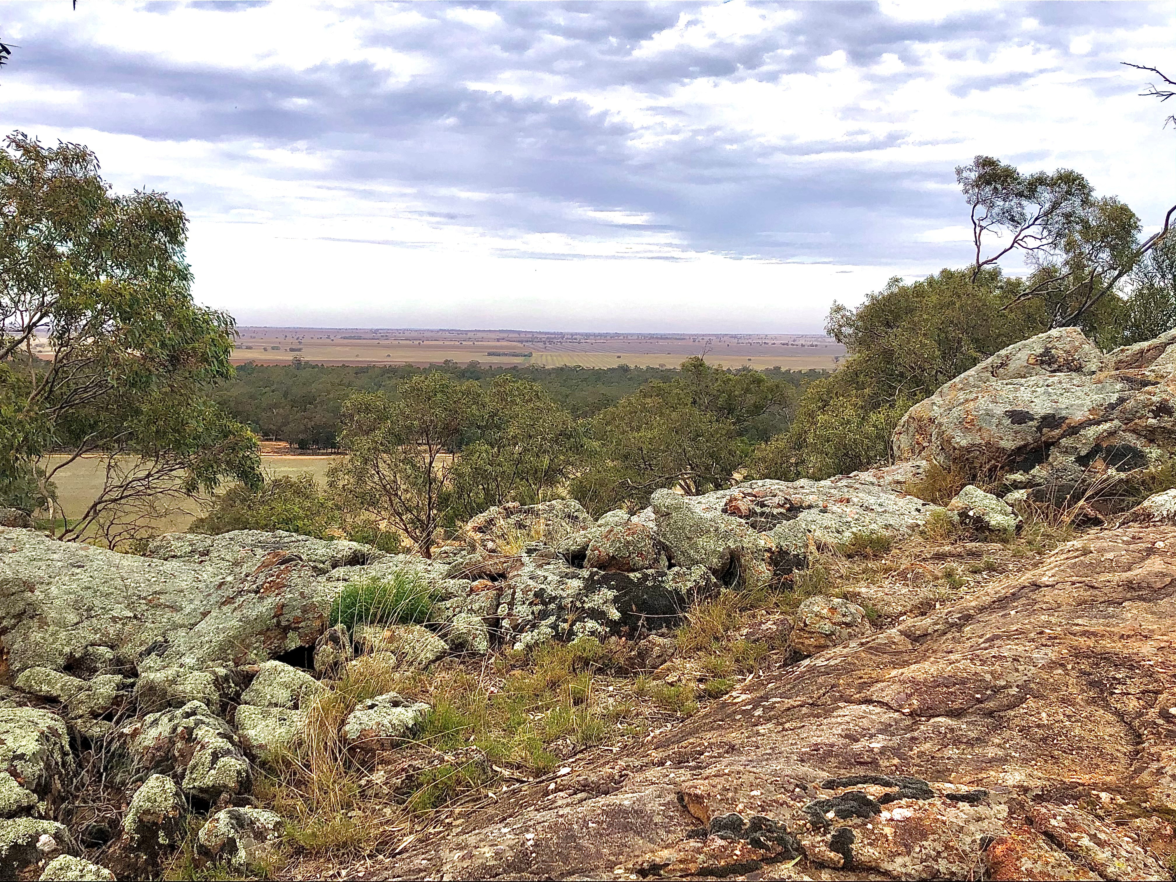 View from Kithera over Karalee