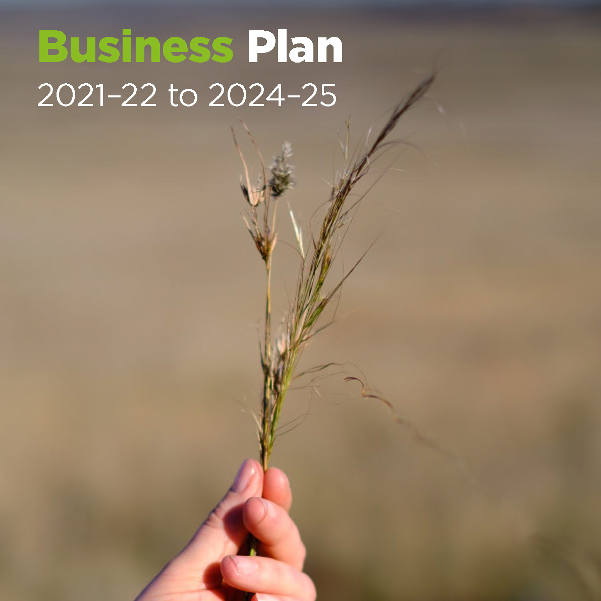 Business plan square