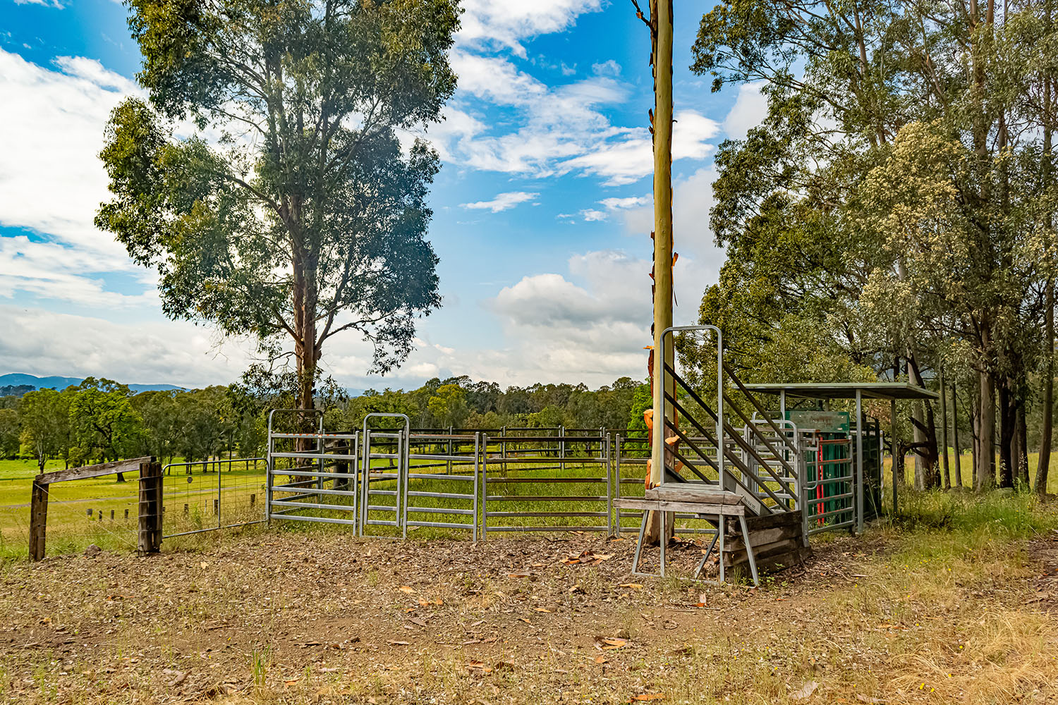 Cattle Yards