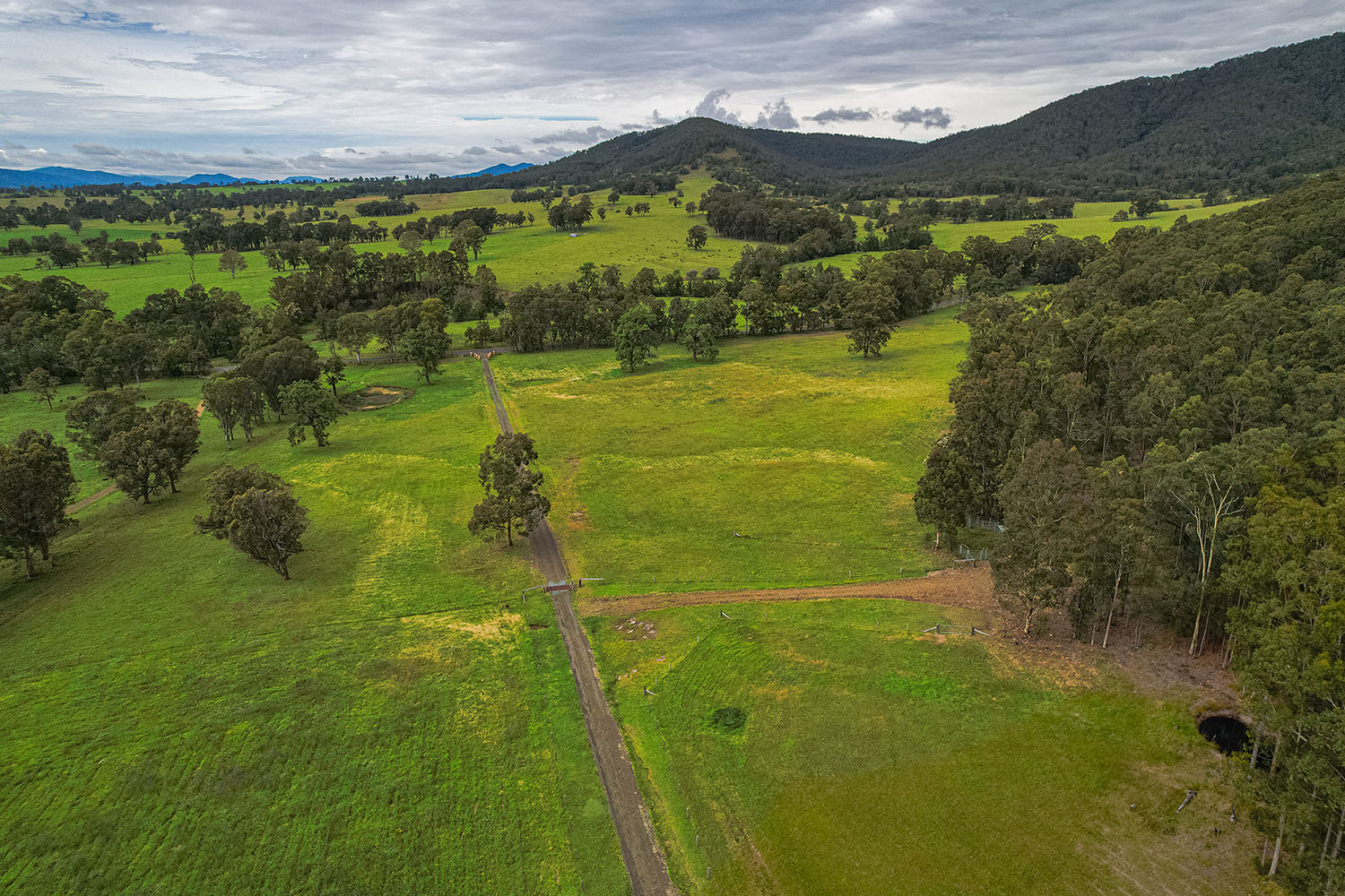 Paddocks Aerial