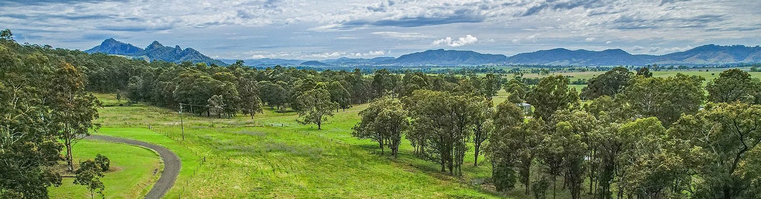 Forest Ridge Banner