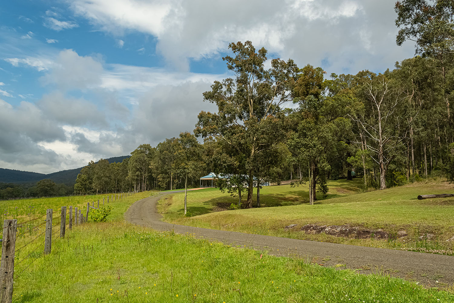 Driveway to house