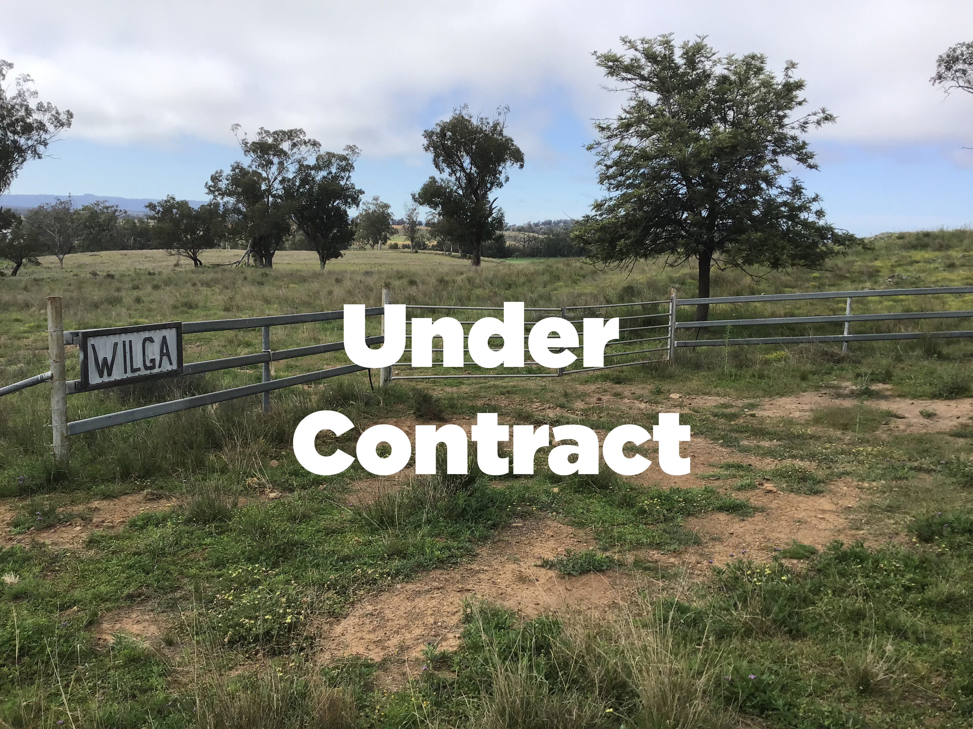 Wilga_Under Contract 