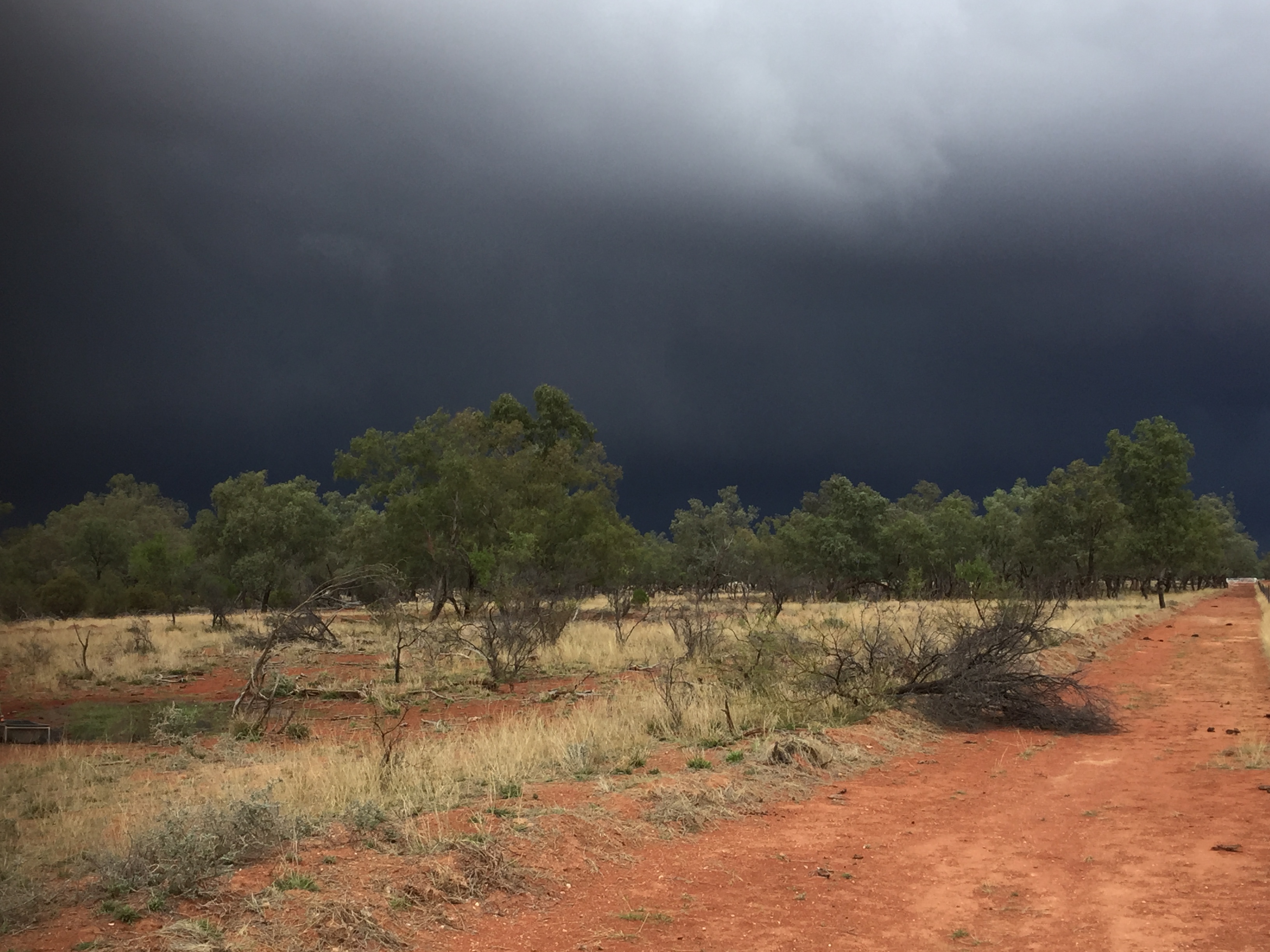 A storm approaching a dry grassland