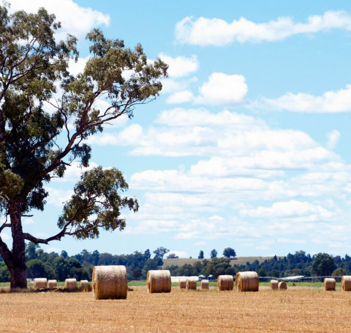 nsw natural capital statement