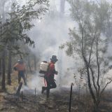 Bush burning with smoke and two people with air blowers.