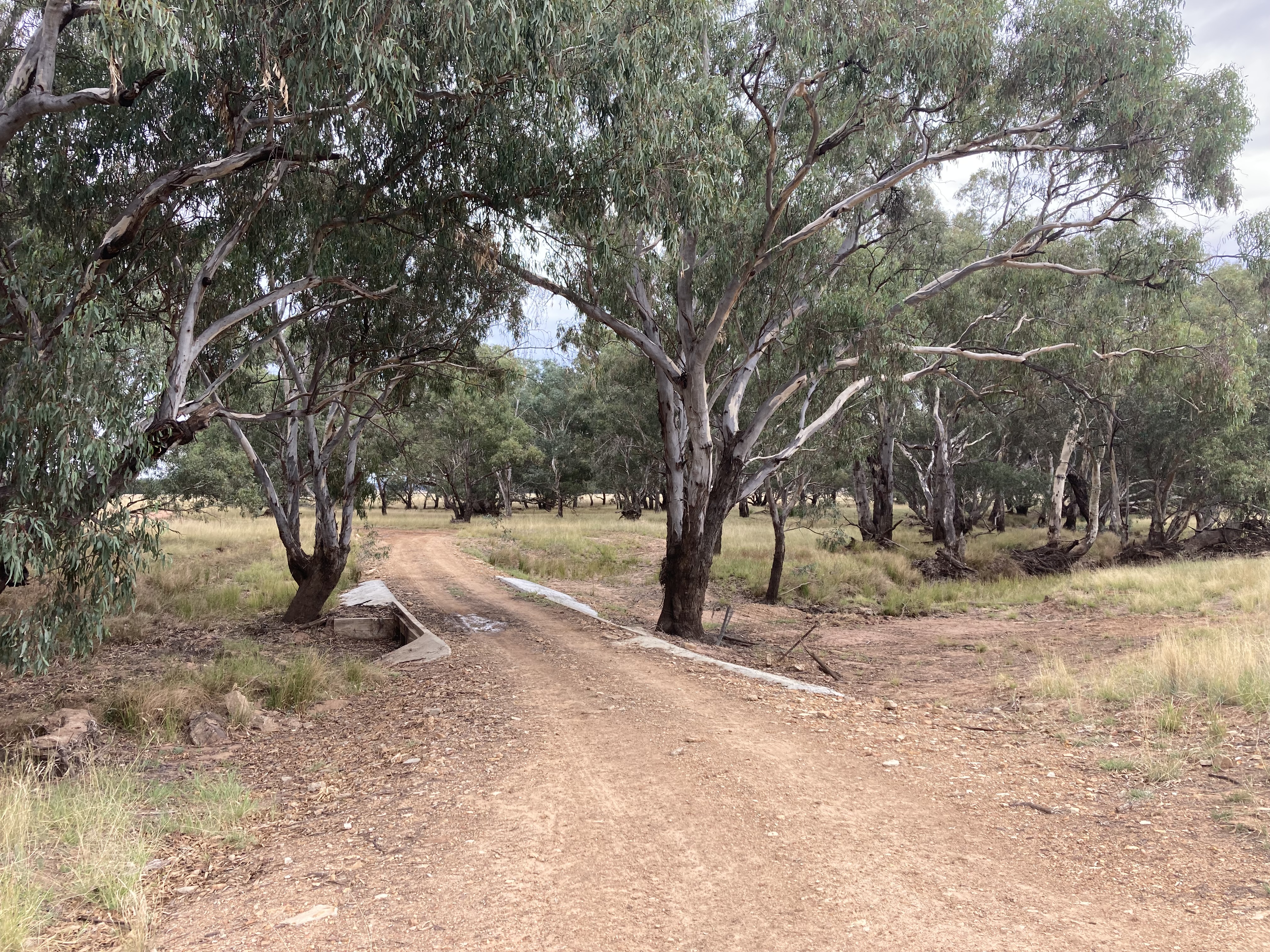 Crossing over the Bogan River at Coraki