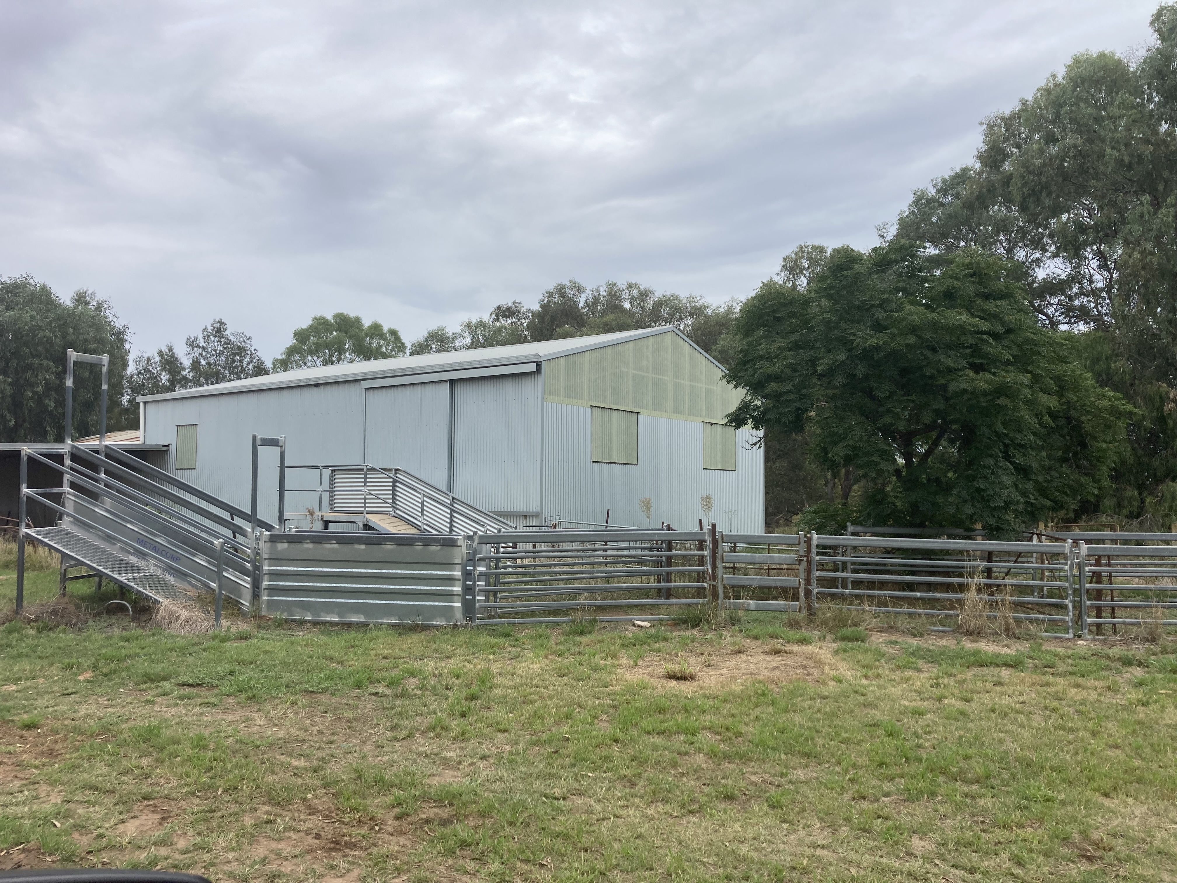 Coraki woolshed and sheep yards