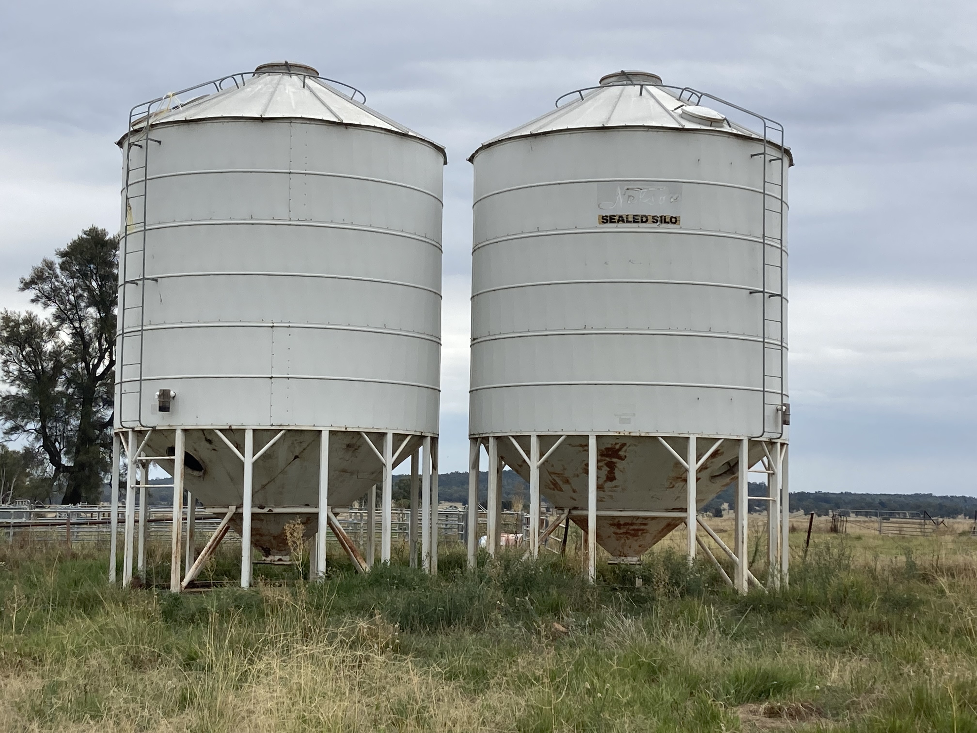 Coraki grain silos