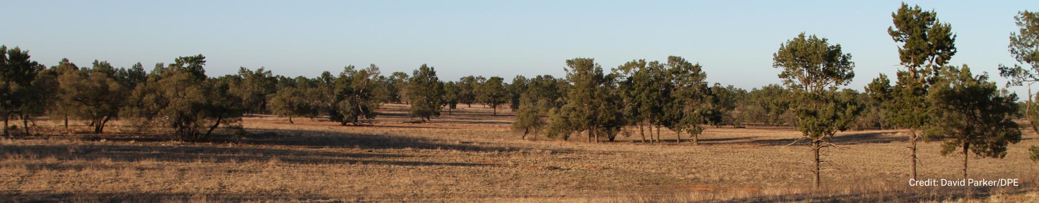 Biodiversity Conservation Fund Charge System