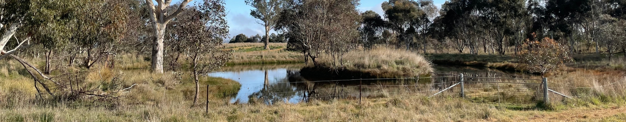 Managing farm dams in private conservation areas