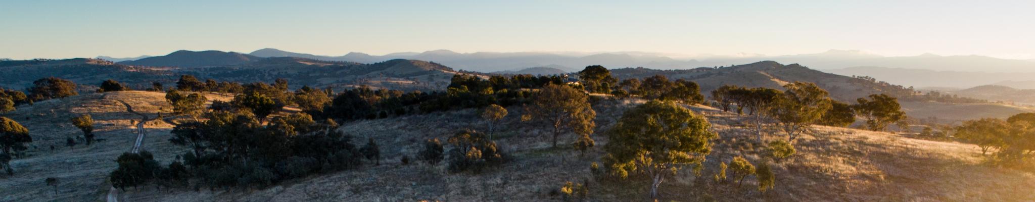 An aerial image of land that can be restored and revegetated under a NSW Biodiversity Conservation Trust conservation agreement.