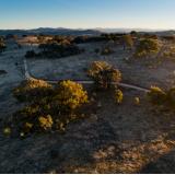 An aerial image of land that can be restored and revegetated under a NSW Biodiversity Conservation Trust conservation agreement.