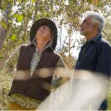 Two people look up into the canopy of native vegetation.