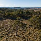 Aerial view of snow gum woodlands