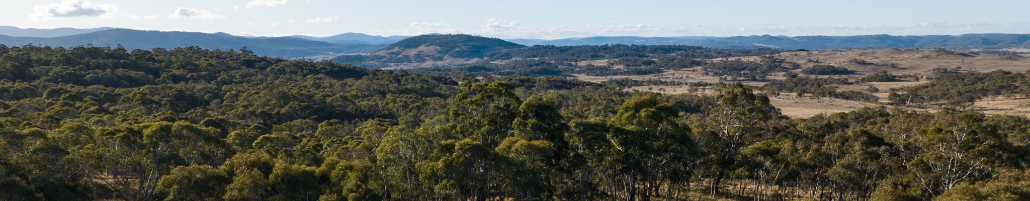 A vista over a conservation agreement in the Snowy Monaro region of New South Wales.