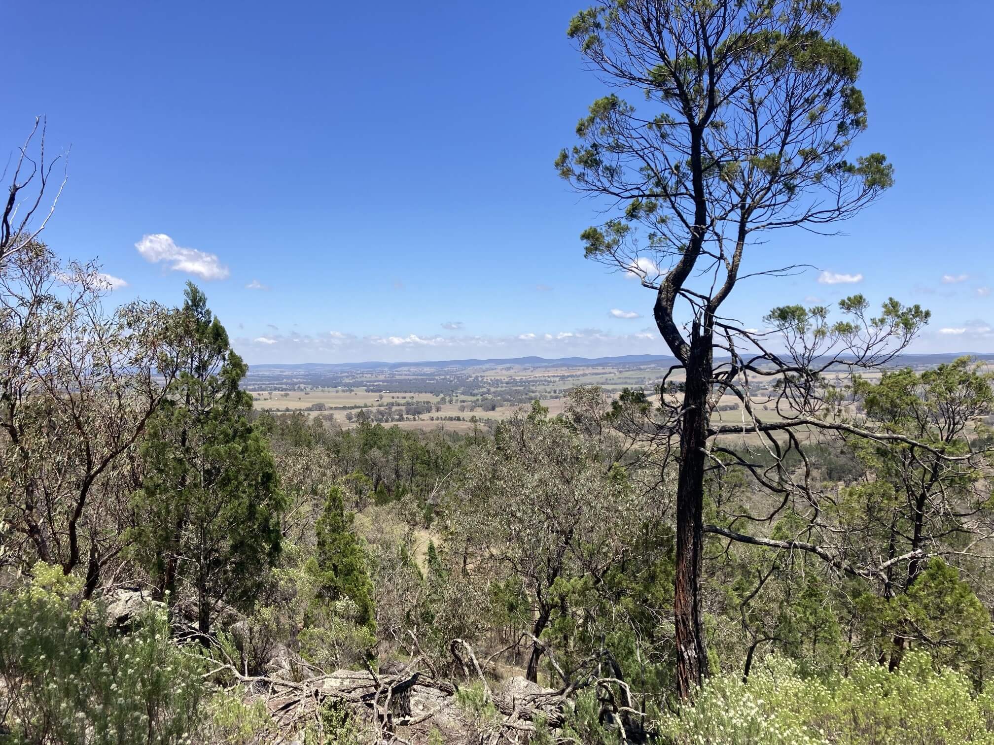 View west of Bindogandry from lookout