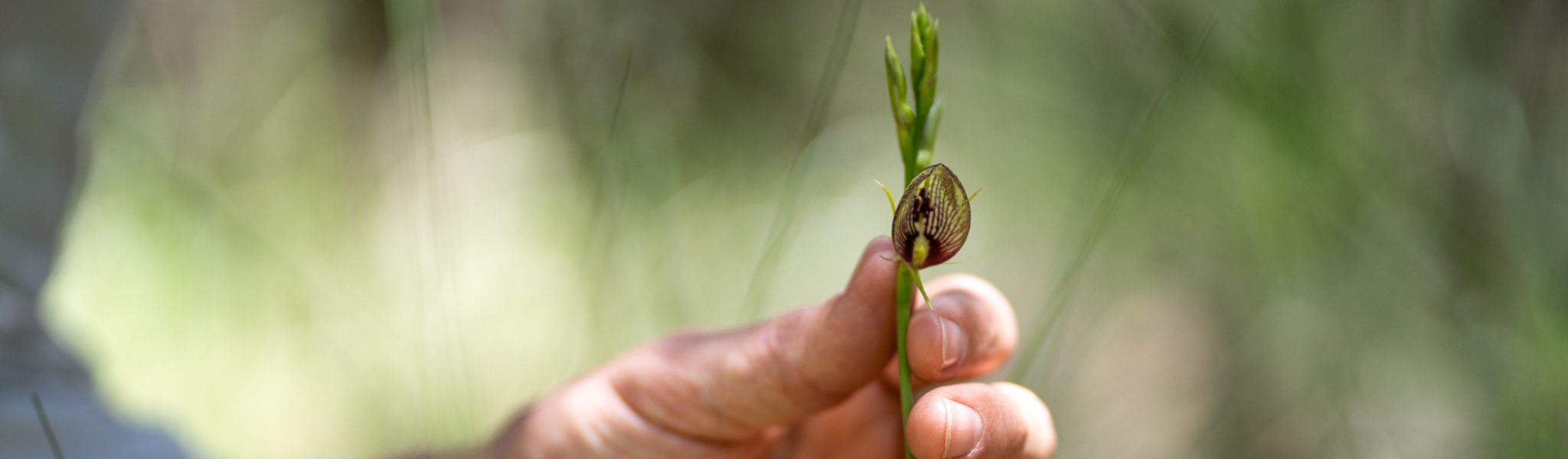 Citizen Science