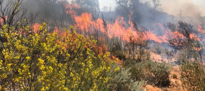 Fire management resources