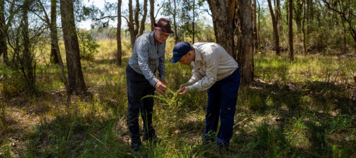 Vegetation management resources