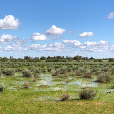 Open landscape with puddles of flood water