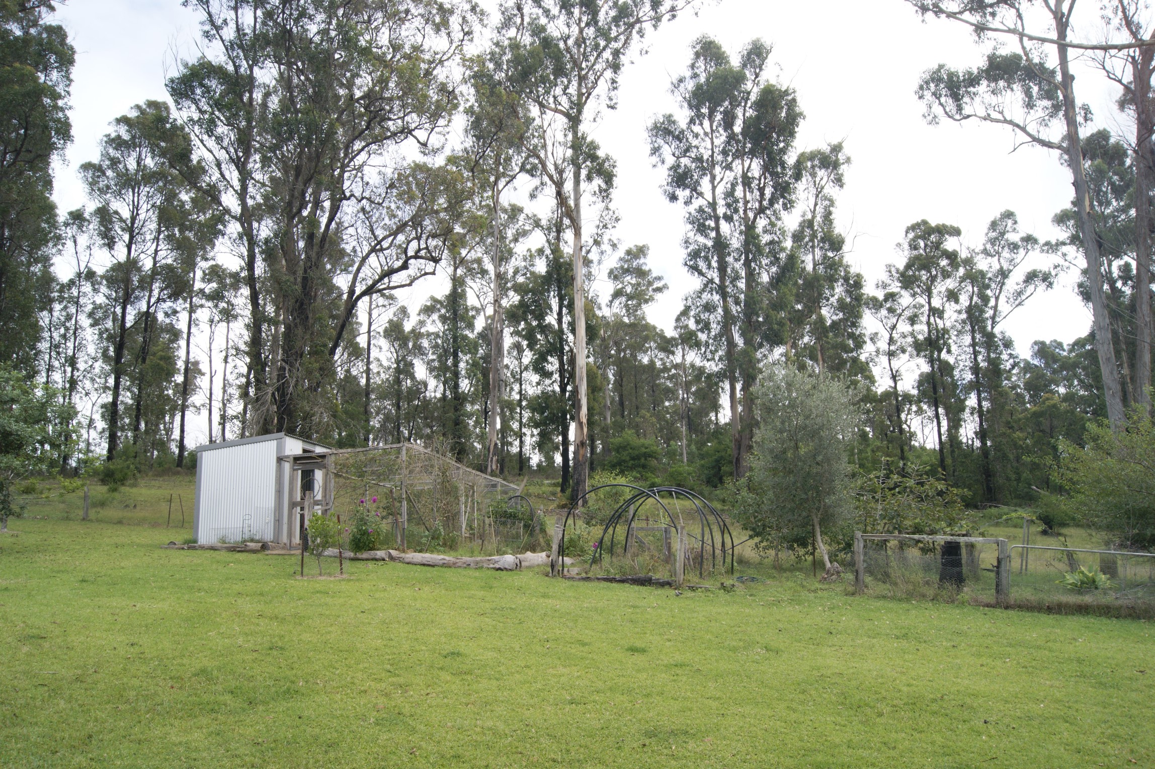 A garden area and a white shed