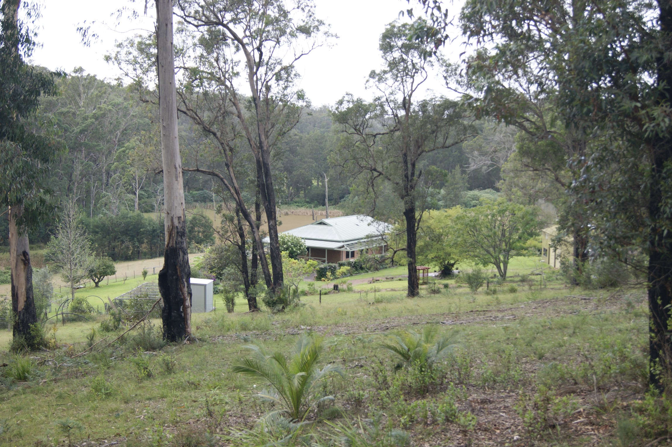 A view of the house from the bush