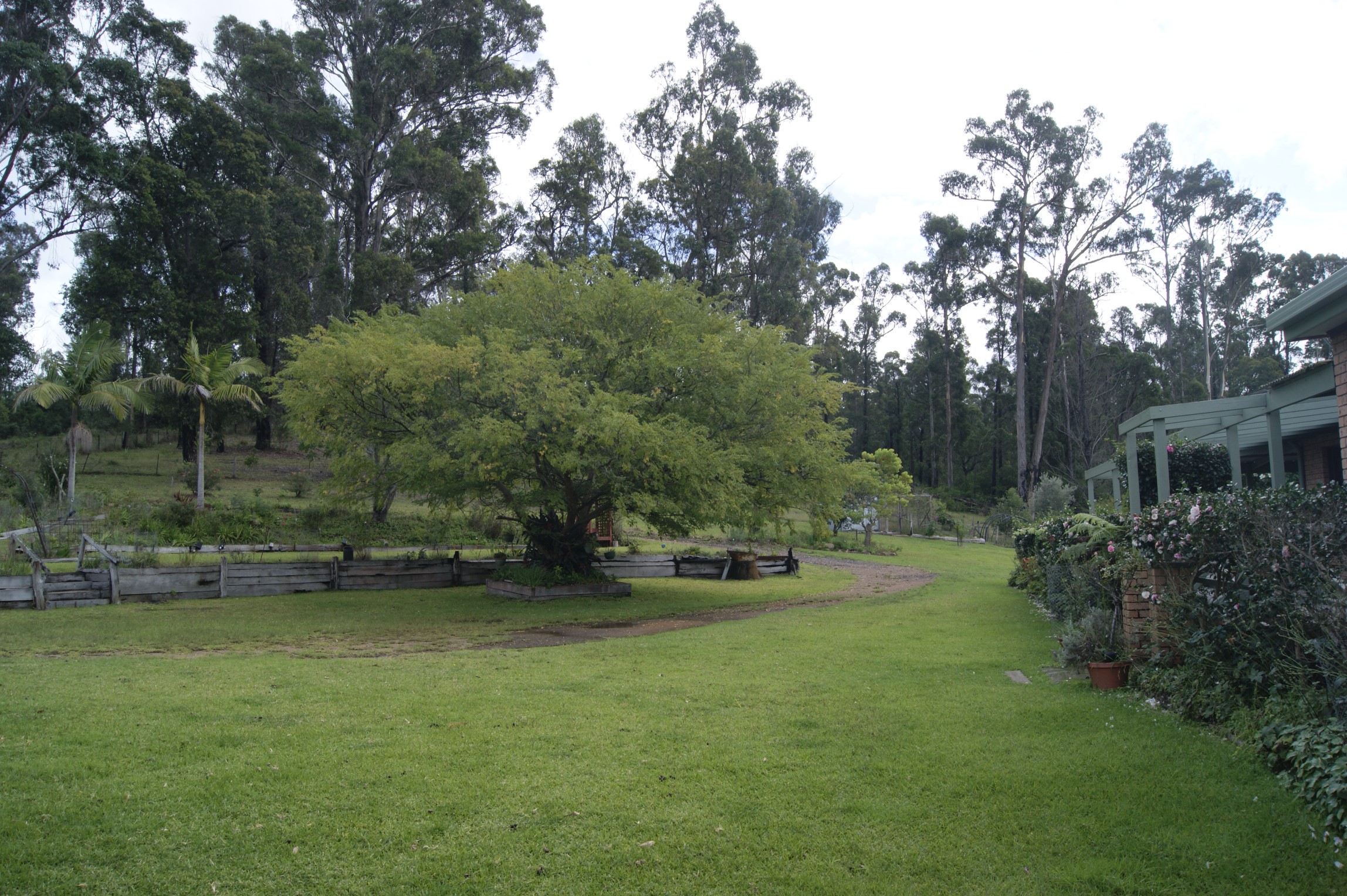 A closer view of the yard and dirt track