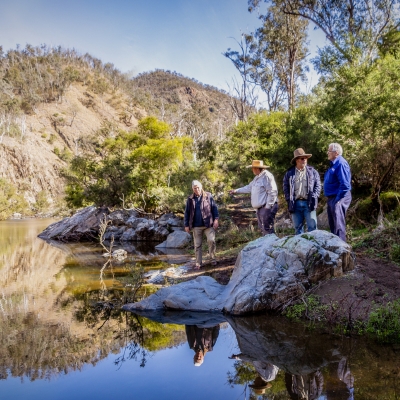 Four people stand next to a creek on a sunny day.
